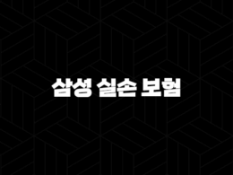 삼성 실손 보험 : 2025년 최신 정보와 청구 방법 완벽 분석 - 가입부터 혜택까지 29