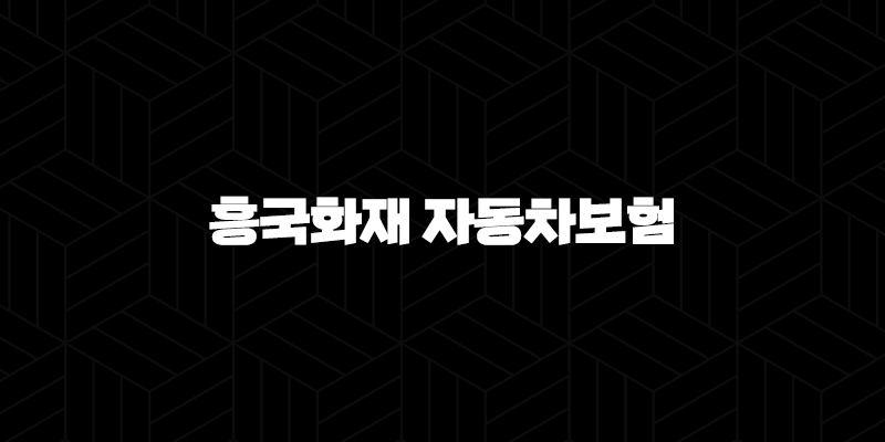 흥국화재 자동차보험 - 2025년 최신 정보와 가입 팁, 꼼꼼하게 알아보기 10 흥국화재 자동차보험 - 2025년 최신 정보와 가입 팁, 꼼꼼하게 알아보기 9