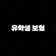 유학생 보험 - 2025년 유학생을 위한 완벽 가이드 : 종류, 추천, 비교, 비용, 가입, 혜택 총정리 15