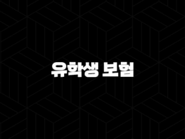 유학생 보험 - 2025년 유학생을 위한 완벽 가이드 : 종류, 추천, 비교, 비용, 가입, 혜택 총정리 33