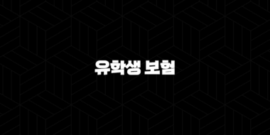 유학생 보험 - 2025년 유학생을 위한 완벽 가이드 : 종류, 추천, 비교, 비용, 가입, 혜택 총정리 37