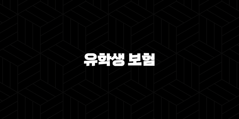 유학생 보험 - 2025년 유학생을 위한 완벽 가이드 : 종류, 추천, 비교, 비용, 가입, 혜택 총정리 9