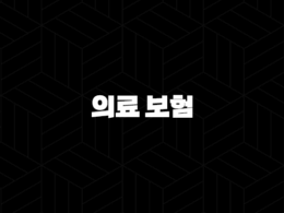 의료 보험(+ 2025년 꼭 알아야 할 7가지 정보와 꿀팁 대방출) 29