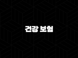 건강 보험(+ 2025년 건강보험료율 및 건강보험 관련 모든 것, 완벽 가이드) 33
