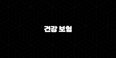 건강 보험(+ 2025년 건강보험료율 및 건강보험 관련 모든 것, 완벽 가이드) 29