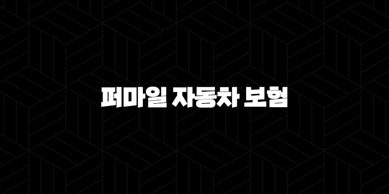 2025년 퍼마일 자동차 보험 : 완벽 분석 및 후기 - 장점, 단점, 전화번호, 가입 불가 사유, 사고 처리, 고객 센터, 모델, 롯데/캐롯 비교 231