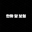 한화 암 보험 - 2025년 최신 정보와 10가지 상품 완전 분석 13