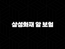 삼성화재 암 보험 2025년 최신 정보 총정리 : 10가지 핵심 가이드 33