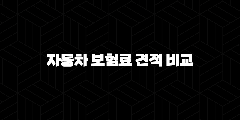 2025년 자동차 보험료 견적 비교 - 1분 만에 끝내는 최저가 보험료 확인 방법 10 2025년 자동차 보험료 견적 비교 - 1분 만에 끝내는 최저가 보험료 확인 방법 9