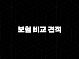 2025년 보험 비교 견적 : 나에게 맞는 보험 찾기 - 총정리 가이드 25