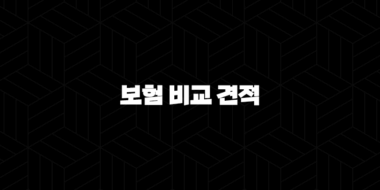 2025년 보험 비교 견적 : 나에게 맞는 보험 찾기 - 총정리 가이드 29