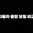 2025년 자동차 종합 보험 비교 - 꼼꼼하게 따져보고 내게 맞는 보험 찾기 16 2025년 자동차 종합 보험 비교 - 꼼꼼하게 따져보고 내게 맞는 보험 찾기 15