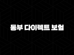 동부 다이렉트 보험 - 2025년 최신 정보와 가입 꿀팁 총정리 : 10가지 핵심 가이드 29
