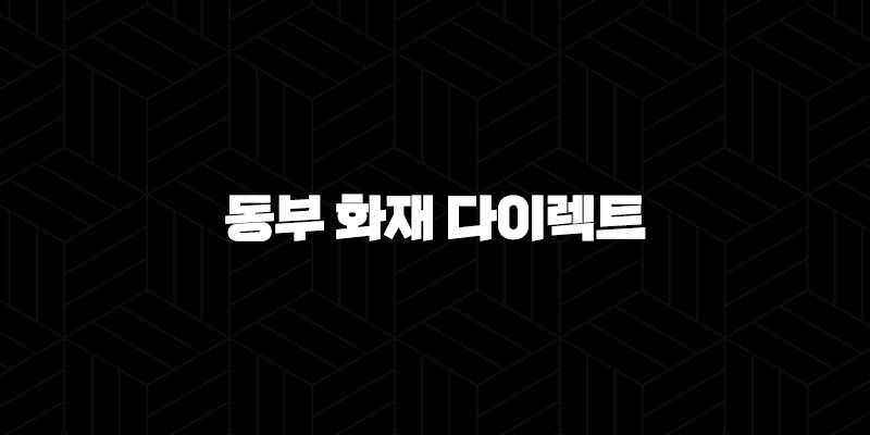 동부 화재 다이렉트 운전자 보험 - 2025년 최신 정보와 핵심 보장 내용 완벽 분석 9