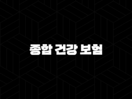종합 건강 보험 : 2025년 가이드 - 현명한 선택을 위한 완벽 분석 29