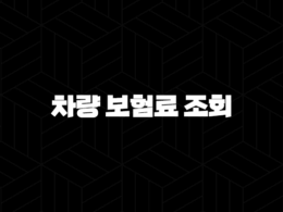 2025년 차량 보험료 조회 : 현명한 비교와 절약 노하우 - 꼼꼼하게 따져보고 내게 맞는 보험 찾기 37