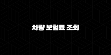2025년 차량 보험료 조회 : 현명한 비교와 절약 노하우 - 꼼꼼하게 따져보고 내게 맞는 보험 찾기 33