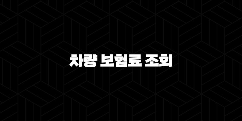 2025년 차량 보험료 조회 : 현명한 비교와 절약 노하우 - 꼼꼼하게 따져보고 내게 맞는 보험 찾기 9