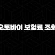 2025년 오토바이 보험료 조회 : 완벽 가이드 - 125cc, 20대, 이륜차 보험 싼 곳 비교 및 계산기 활용 13