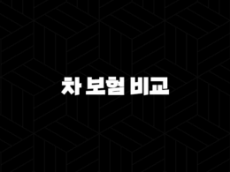 2025년 차 보험 비교 - 나에게 맞는 최적의 보험 찾기! 10가지 핵심 정보 33
