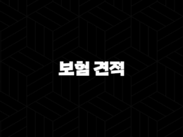 2025년 보험 견적 완전 정복 : 종류별 맞춤 가이드 & 혜택 비교 - 숫자와 통계로 확인하는 보험료 절약 꿀팁 29