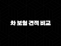 2025년 차 보험 견적 비교 - 온라인으로 저렴하게 가입하는 꿀팁! 29