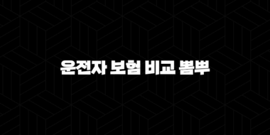 2025년 운전자 보험 비교 뽐뿌 - 최신 정보와 가입 팁 29