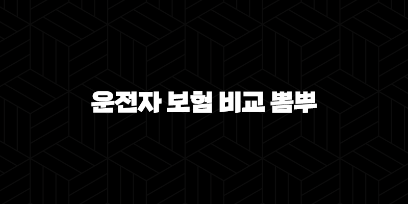 2025년 운전자 보험 비교 뽐뿌 - 최신 정보와 가입 팁 333