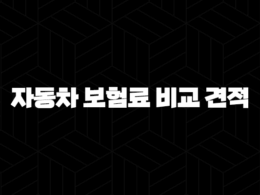 자동차 보험료 비교 견적 - 2025년 최신 정보 및 꿀팁 대방출 33