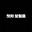 2025년 첫차 보험료 완전 정복 - 20대, 30대, 중고차, 계산, 평균, 디시 후기까지! 13
