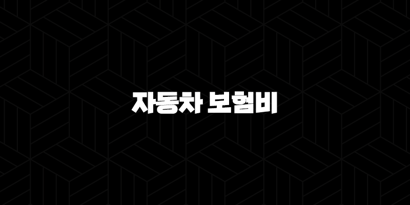 2025년 자동차 보험비 절약 가이드 : 연령별, 차종별, 운전 경력별 맞춤 정보와 비교 견적 꿀팁 345