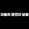 2025년 자동차 운전자 보험 완벽 가이드 - 현명한 선택을 위한 필수 정보와 비교 분석 13