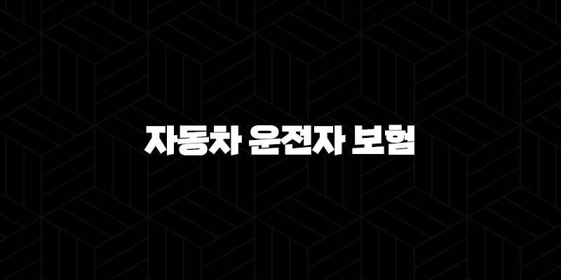 2025년 자동차 운전자 보험 완벽 가이드 - 현명한 선택을 위한 필수 정보와 비교 분석 10 2025년 자동차 운전자 보험 완벽 가이드 - 현명한 선택을 위한 필수 정보와 비교 분석 9