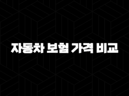 2025년 자동차 보험 가격 비교 - 다이렉트 비교견적사이트 활용법 25