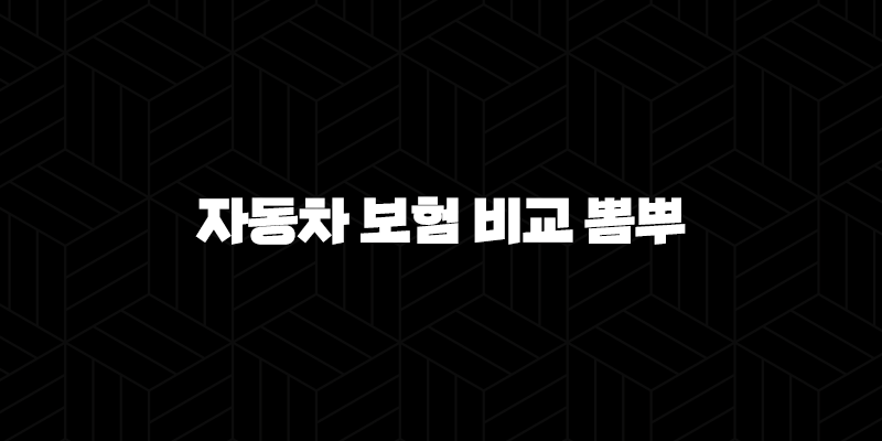 2025년 자동차 보험 비교 뽐뿌 - 총정리 및 가이드 10 2025년 자동차 보험 비교 뽐뿌 - 총정리 및 가이드 9