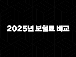 2025년 보험료 비교 - 플랫폼, 자동차, 프로그램, 공시, 이륜차, 전기차, 실비, 꿀팁 총정리! 29