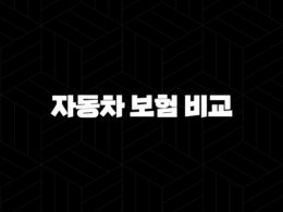 자동차 보험 비교 견적 사이트 추천 - 2025년, 나에게 맞는 최적의 보험 찾기 29