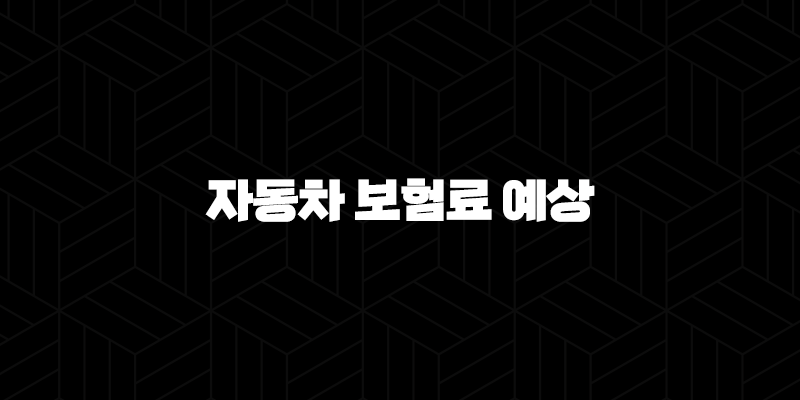 2025년 자동차 보험료 예상 - 총정리 및 절약 꿀팁 대방출 10 2025년 자동차 보험료 예상 - 총정리 및 절약 꿀팁 대방출 9
