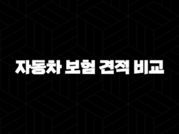 2025년 자동차 보험 견적 비교 - 저렴하게 가입하는 7가지 방법과 핵심 특약 37