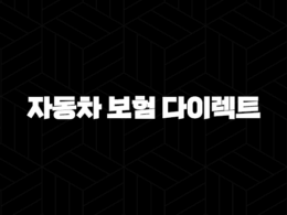 2025년 자동차 보험 다이렉트 비교 - 꼼꼼하게 따져보고 할인받는 방법 33