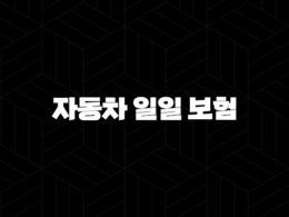 자동차 일일 보험 - 2025년 최신 정보와 가입 방법, 가격 완전 분석 29