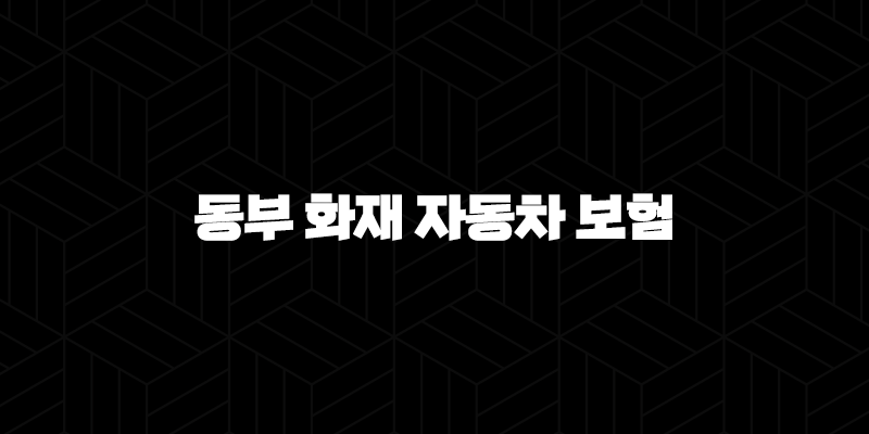 동부 화재 자동차 보험 2025년 최신 정보와 가입 혜택 완벽 분석 - 고객센터, 사고 접수, 긴급출동, 다이렉트 할인까지 10 동부 화재 자동차 보험 2025년 최신 정보와 가입 혜택 완벽 분석 - 고객센터, 사고 접수, 긴급출동, 다이렉트 할인까지 9