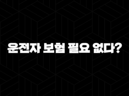 운전자 보험 필요 없다? - 2025년 운전자 보험의 필요성에 대한 오해와 진실 25