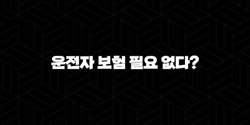 운전자 보험 필요 없다? - 2025년 운전자 보험의 필요성에 대한 오해와 진실 47