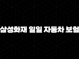 삼성화재 일일 자동차 보험 - 2025년 최신 정보와 가입 꿀팁 완벽 정리 37