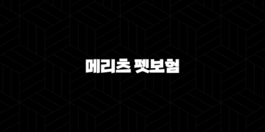 메리츠 펫보험 - 2025년 최신 정보와 가입 후기, 꼼꼼 분석! 25