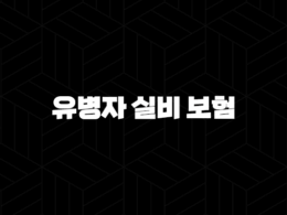 유병자 실비 보험의 모든 것 : 2025년 최신 정보와 가입 가이드 33