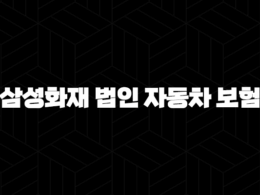 삼성화재 법인 자동차 보험(+ 2025년 최신 정보와 혜택 완벽 분석) 29
