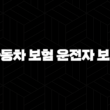 자동차 보험 운전자 보험 - 2025년, 무엇이 다르고 나에게 필요한 것은? 13