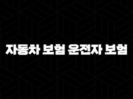자동차 보험 운전자 보험 - 2025년, 무엇이 다르고 나에게 필요한 것은? 29